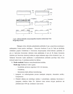 www.speros.lt